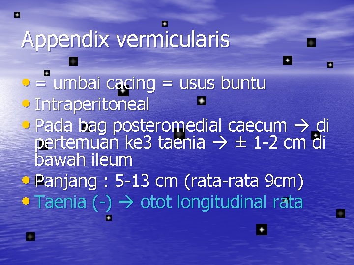 Appendix vermicularis • = umbai cacing = usus buntu • Intraperitoneal • Pada bag