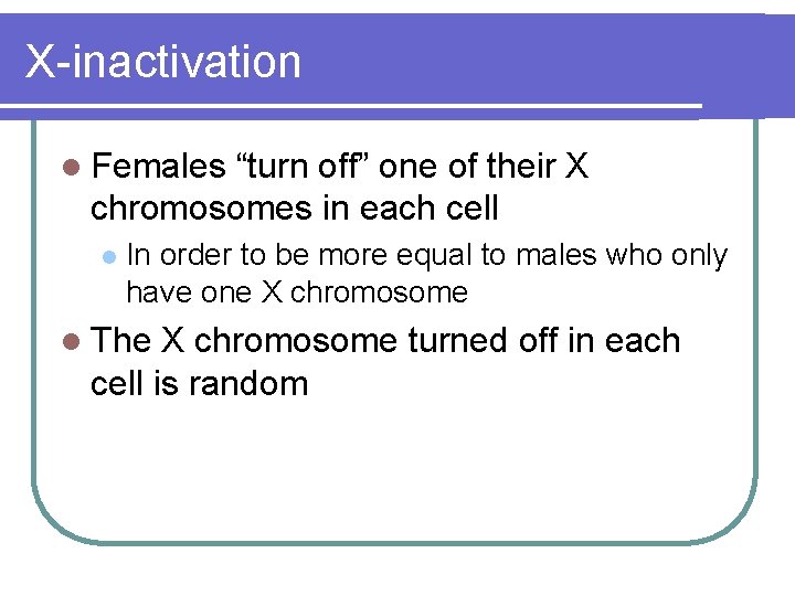 X-inactivation l Females “turn off” one of their X chromosomes in each cell l