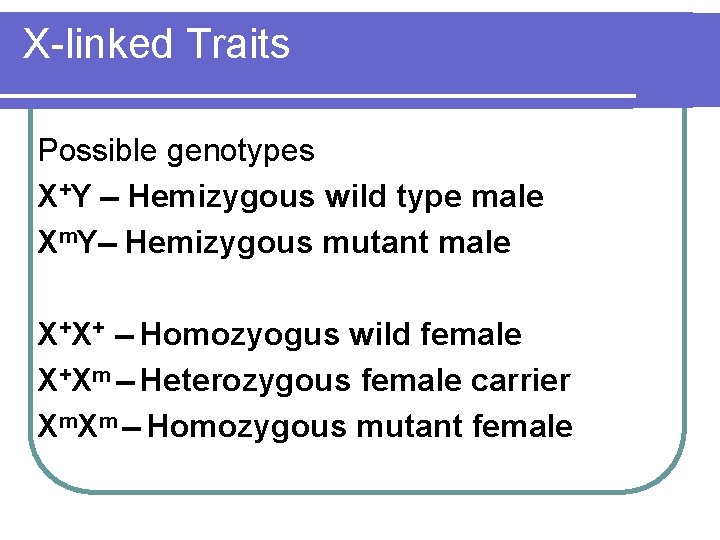 X-linked Traits Possible genotypes X+Y Hemizygous wild type male Xm. Y Hemizygous mutant male