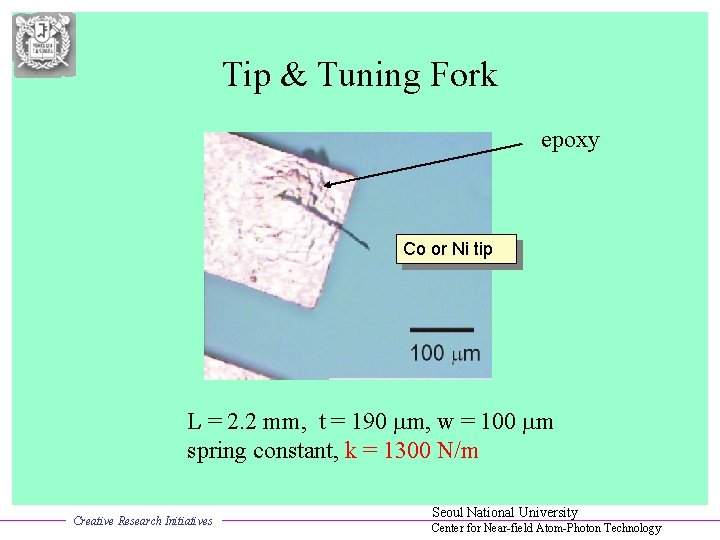 Tip & Tuning Fork epoxy Co or Ni tip L = 2. 2 mm,