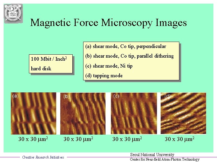 Magnetic Force Microscopy Images (a) shear mode, Co tip, perpendicular 100 Mbit / Inch
