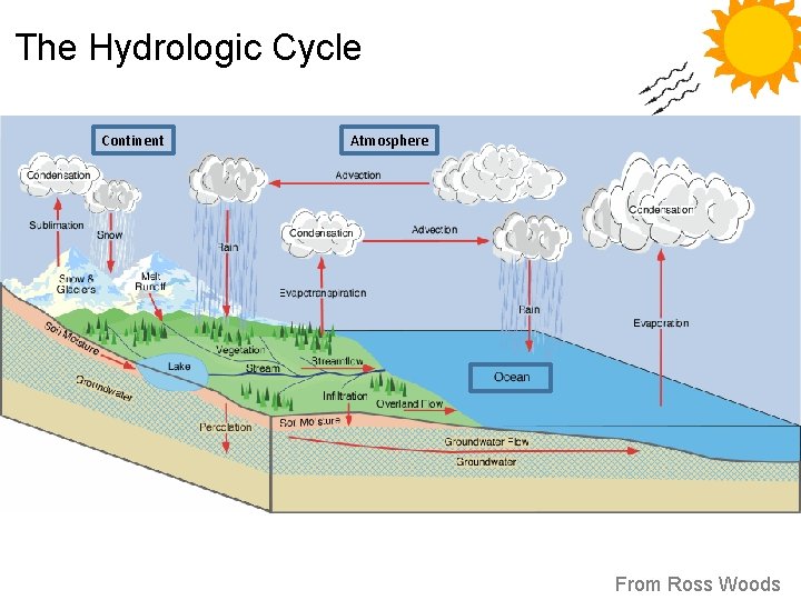 The Hydrologic Cycle Continent Atmosphere From Ross Woods 