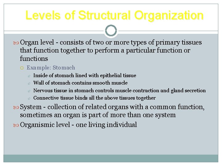 Levels of Structural Organization Organ level - consists of two or more types of