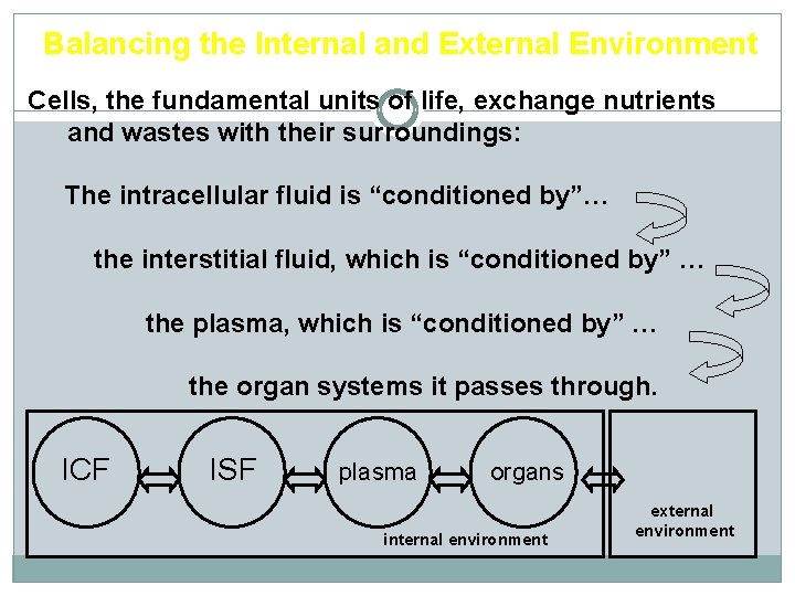 Balancing the Internal and External Environment Cells, the fundamental units of life, exchange nutrients