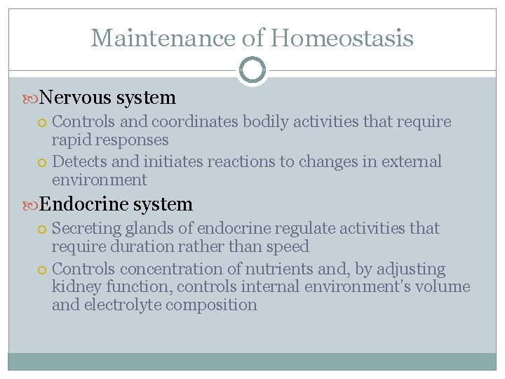 Maintenance of Homeostasis Nervous system Controls and coordinates bodily activities that require rapid responses
