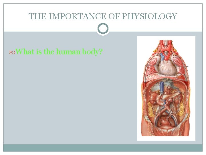THE IMPORTANCE OF PHYSIOLOGY What is the human body? 