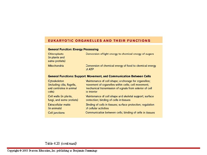 Table 4. 20 (continued) Copyright © 2003 Pearson Education, Inc. publishing as Benjamin Cummings