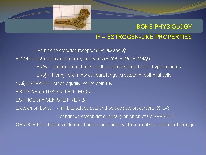 BONE PHYSIOLOGY IF – ESTROGEN-LIKE PROPERTIES IFs bind to estrogen receptor (ER) a and