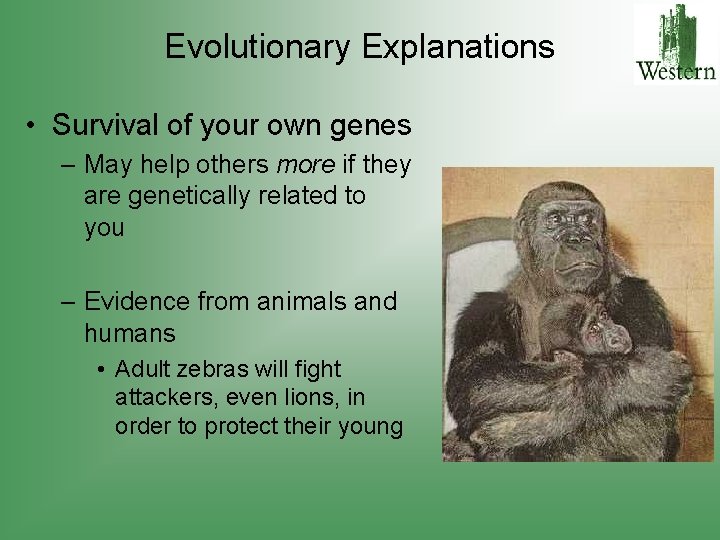 Evolutionary Explanations • Survival of your own genes – May help others more if