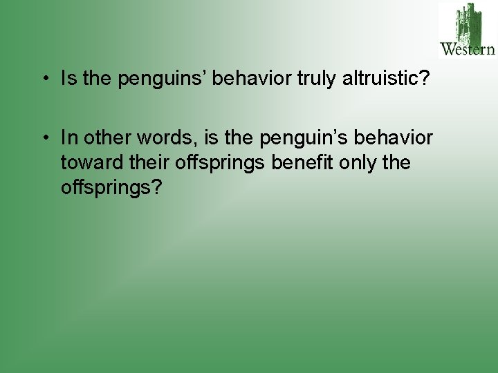  • Is the penguins’ behavior truly altruistic? • In other words, is the