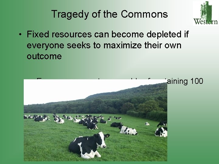 Tragedy of the Commons • Fixed resources can become depleted if everyone seeks to