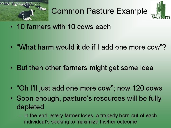 Common Pasture Example • 10 farmers with 10 cows each • “What harm would