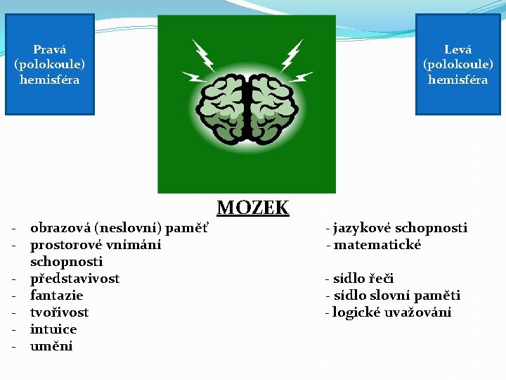 Levá (polokoule) hemisféra Pravá (polokoule) hemisféra - obrazová (neslovní) paměť - prostorové vnímání schopnosti