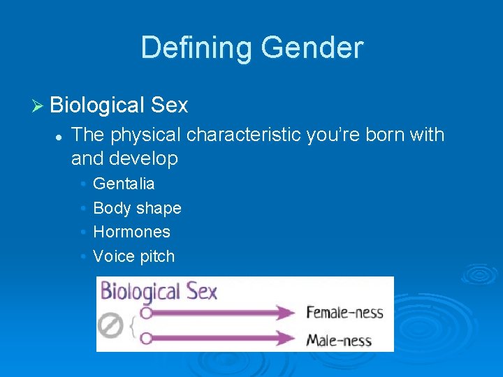 Defining Gender Ø Biological Sex l The physical characteristic you’re born with and develop
