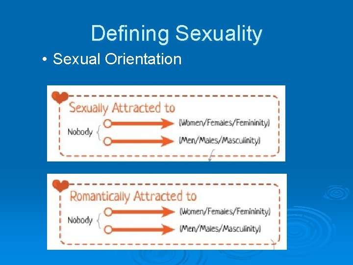 Defining Sexuality • Sexual Orientation 