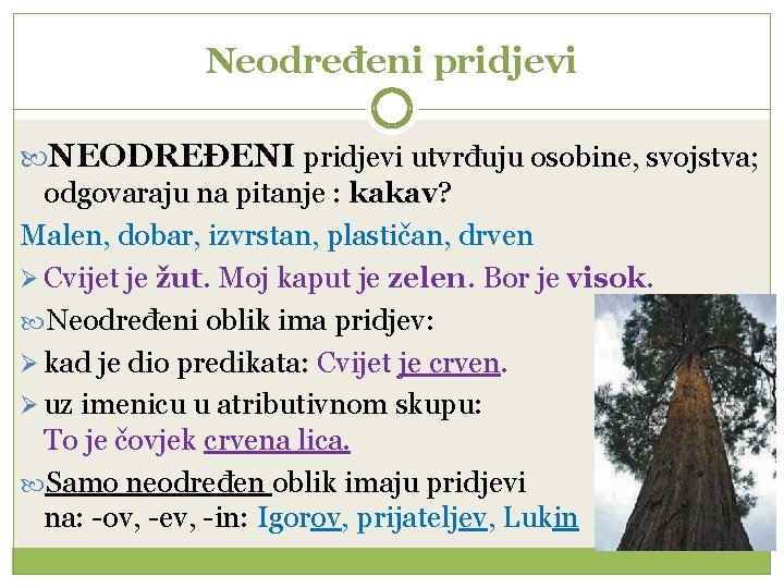 Neodređeni pridjevi NEODREĐENI pridjevi utvrđuju osobine, svojstva; odgovaraju na pitanje : kakav? Malen, dobar,