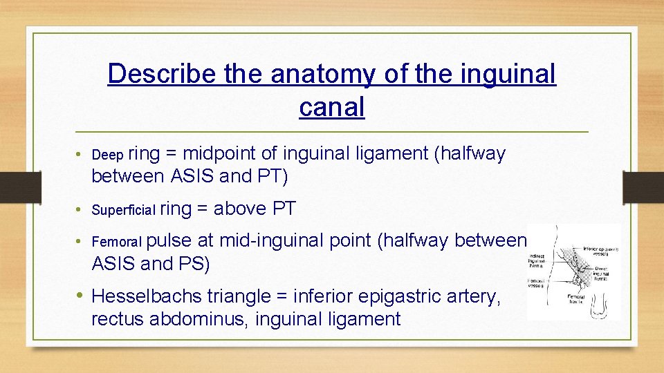 Describe the anatomy of the inguinal canal • Deep ring = midpoint of inguinal