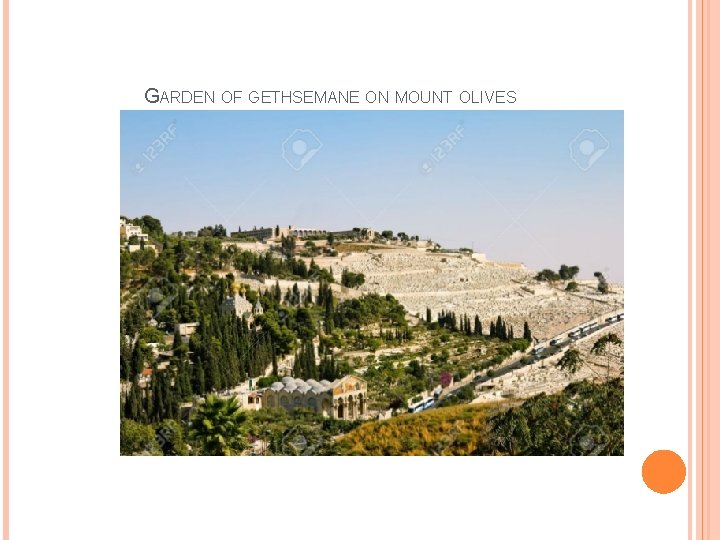 GARDEN OF GETHSEMANE ON MOUNT OLIVES 