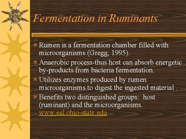 Fermentation in Ruminants ¬ Rumen is a fermentation chamber filled with microorganisms (Gregg, 1995).
