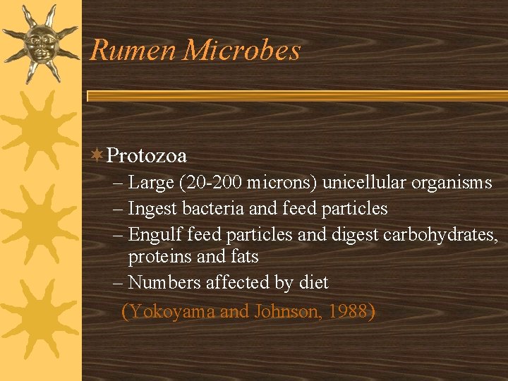 Rumen Microbes ¬Protozoa – Large (20 -200 microns) unicellular organisms – Ingest bacteria and