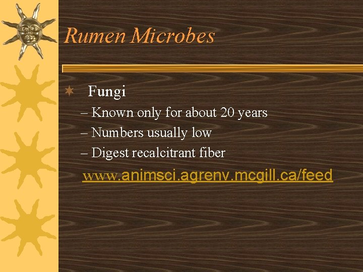 Rumen Microbes ¬ Fungi – Known only for about 20 years – Numbers usually