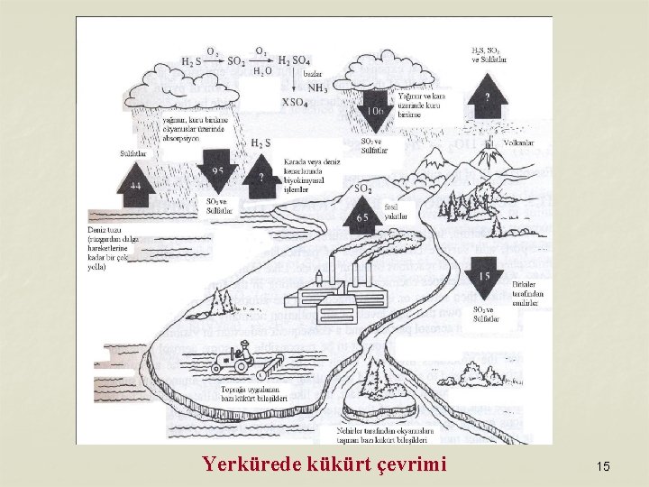 Yerkürede kükürt çevrimi 15 