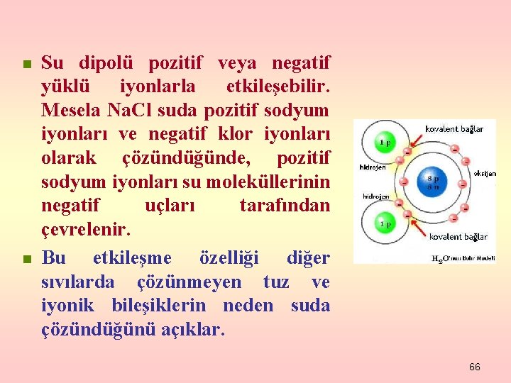 n n Su dipolü pozitif veya negatif yüklü iyonlarla etkileşebilir. Mesela Na. Cl suda