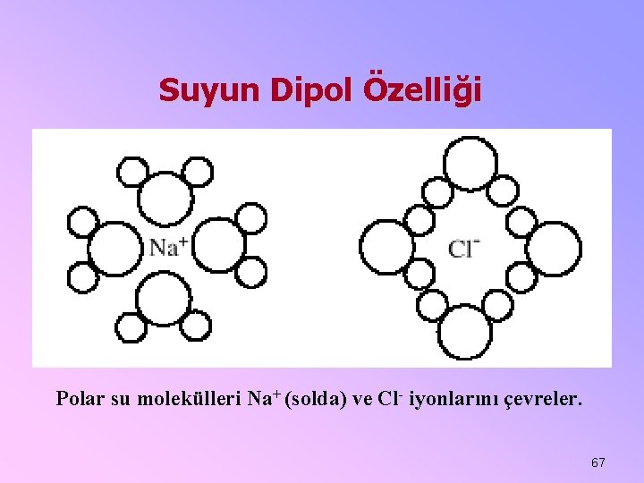 Suyun Dipol Özelliği Polar su molekülleri Na+ (solda) ve Cl- iyonlarını çevreler. 67 