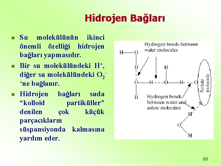 Hidrojen Bağları n n n Su molekülünün ikinci önemli özelliği hidrojen bağları yapmasıdır. Bir