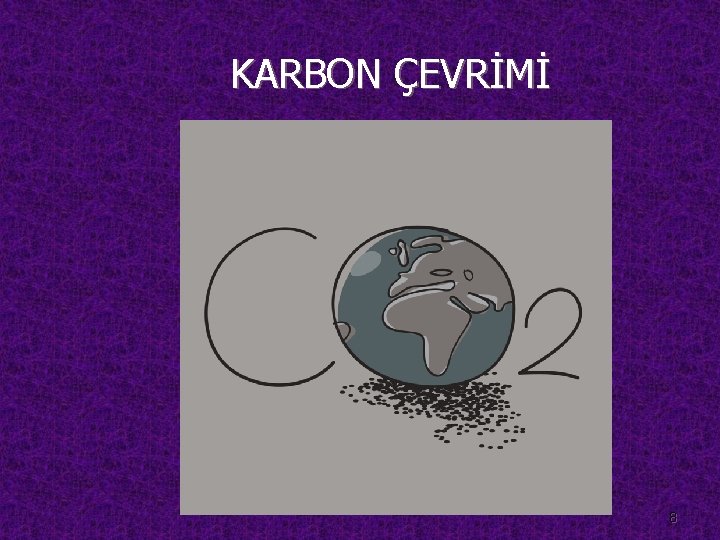 KARBON ÇEVRİMİ 8 