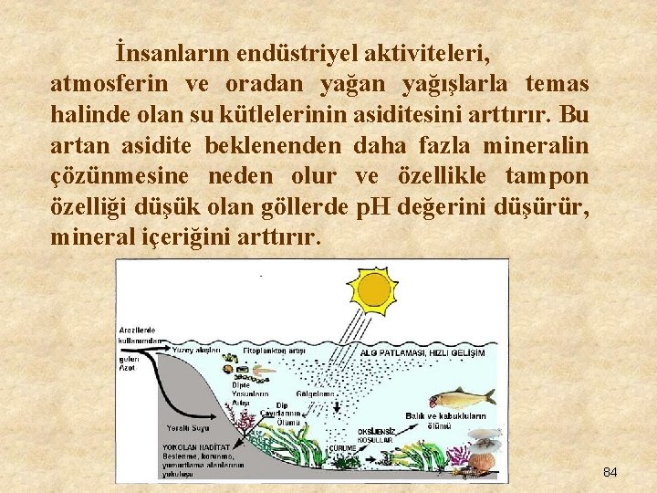 İnsanların endüstriyel aktiviteleri, atmosferin ve oradan yağışlarla temas halinde olan su kütlelerinin asiditesini arttırır.