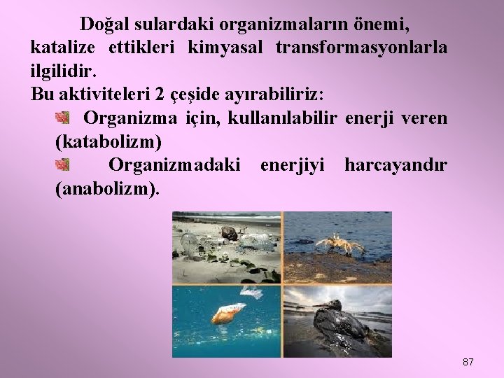 Doğal sulardaki organizmaların önemi, katalize ettikleri kimyasal transformasyonlarla ilgilidir. Bu aktiviteleri 2 çeşide ayırabiliriz: