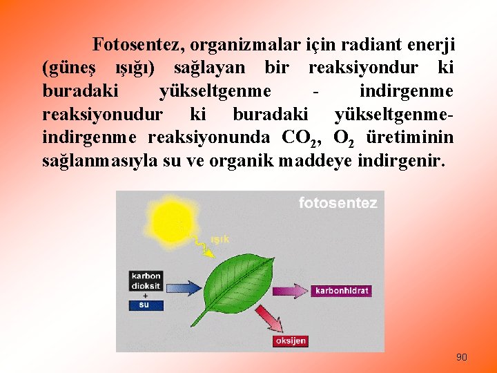 Fotosentez, organizmalar için radiant enerji (güneş ışığı) sağlayan bir reaksiyondur ki buradaki yükseltgenme indirgenme