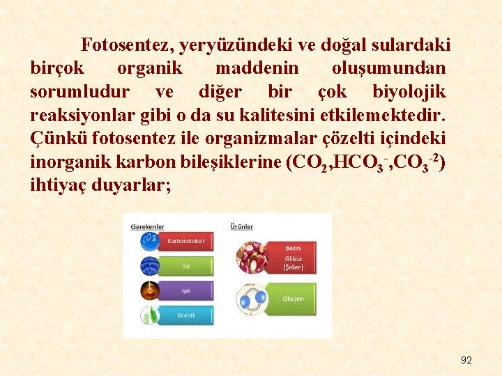 Fotosentez, yeryüzündeki ve doğal sulardaki birçok organik maddenin oluşumundan sorumludur ve diğer bir çok