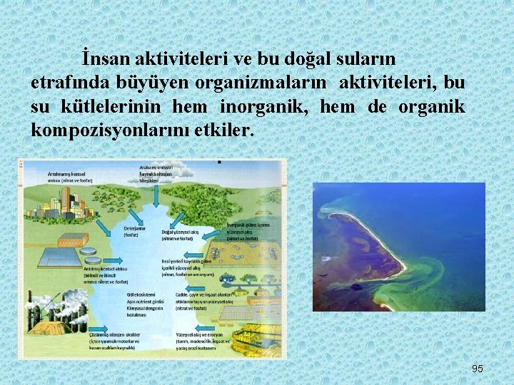 İnsan aktiviteleri ve bu doğal suların etrafında büyüyen organizmaların aktiviteleri, bu su kütlelerinin hem