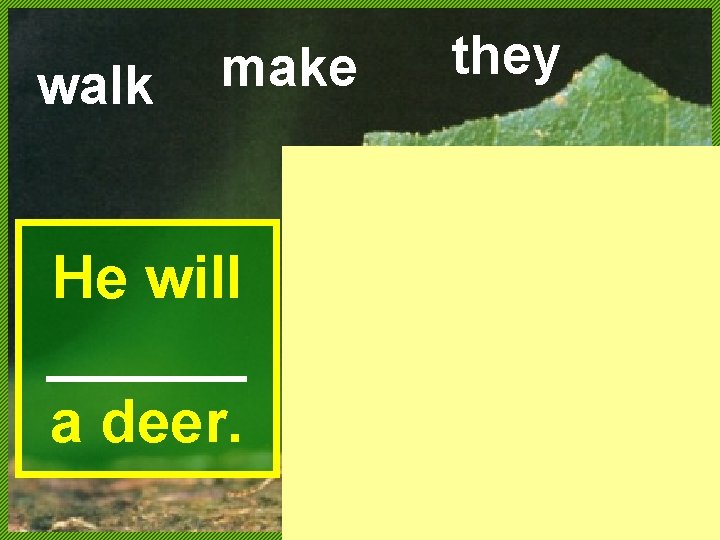 walk make He will ______ a deer. they 