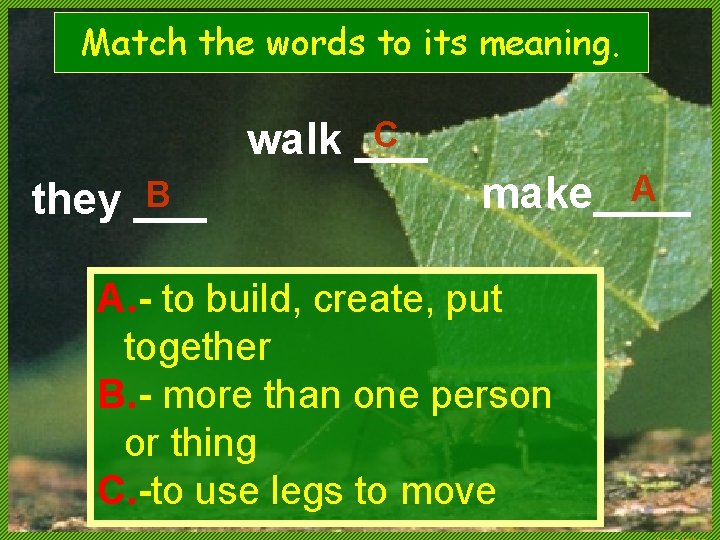 Match the words to its meaning. C walk ___ B they ___ A make____