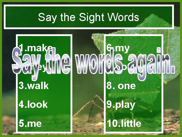 Say the Sight Words 1. make 6. my 2. they 7. not 3. walk