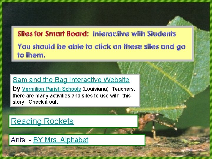Sam and the Bag Interactive Website by Vermilion Parish Schools (Louisiana) Teachers, there are