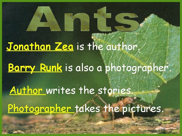Jonathan Zea is the author. Barry Runk is also a photographer. Author writes the