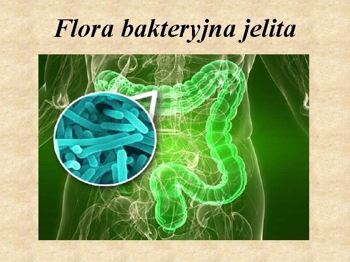 Flora bakteryjna jelita 