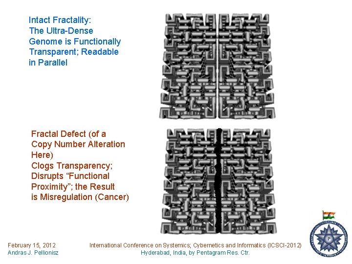 Intact Fractality: The Ultra-Dense Genome is Functionally Transparent; Readable in Parallel Fractal Defect (of