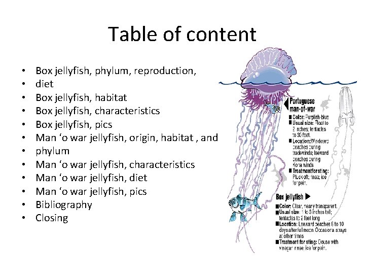 Table of content • • • Box jellyfish, phylum, reproduction, diet Box jellyfish, habitat