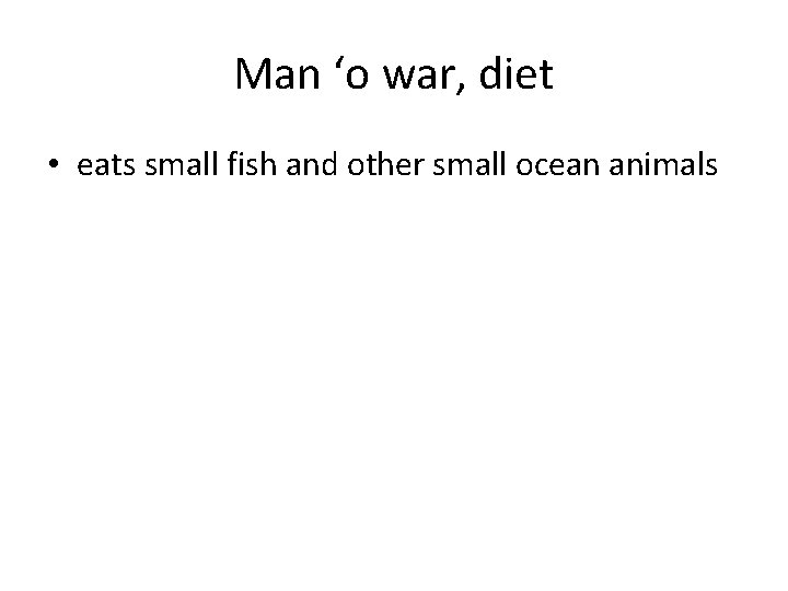 Man ‘o war, diet • eats small fish and other small ocean animals 