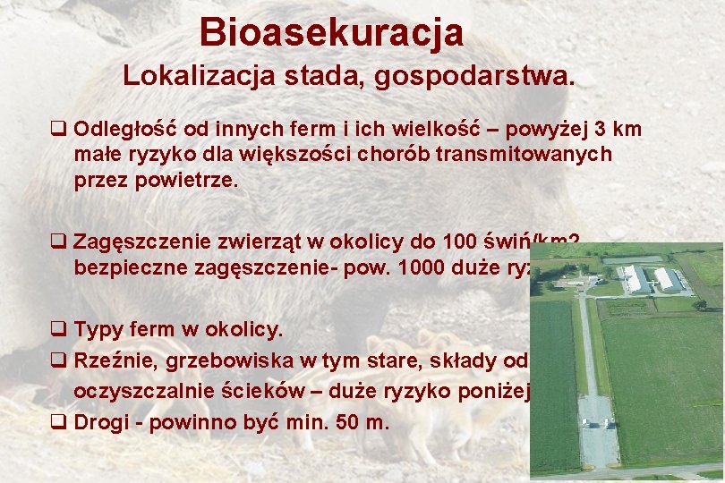 Bioasekuracja Lokalizacja stada, gospodarstwa. q Odległość od innych ferm i ich wielkość – powyżej