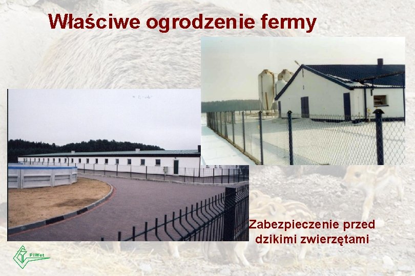 Właściwe ogrodzenie fermy Zabezpieczenie przed dzikimi zwierzętami 