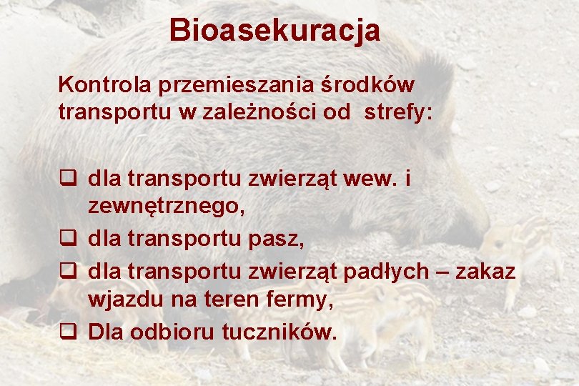 Bioasekuracja Kontrola przemieszania środków transportu w zależności od strefy: q dla transportu zwierząt wew.