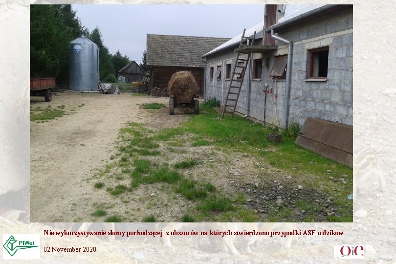 Nie wykorzystywanie słomy pochodzącej z obszarów na których stwierdzano przypadki ASF u dzików 02