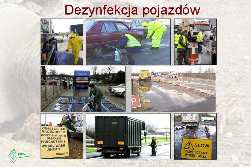 Dezynfekcja pojazdów 