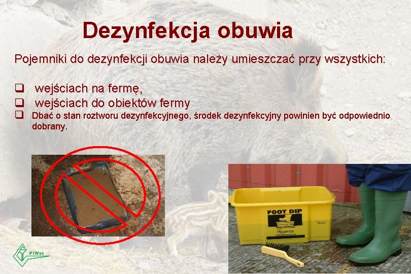 Dezynfekcja obuwia Pojemniki do dezynfekcji obuwia należy umieszczać przy wszystkich: q wejściach na fermę,